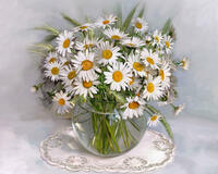 Без бренда «2KMA-0021» в Красноярске