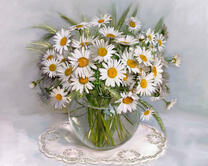 Без бренда «2KMA-0021» в Красноярске