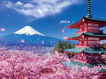 Без бренда «2KSB-7277» в Красноярске