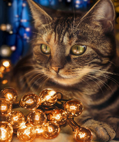 Без бренда «2KXSB-0678» в Красноярске