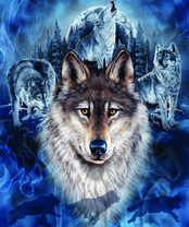 Без бренда «2KXSB-0687» в Красноярске