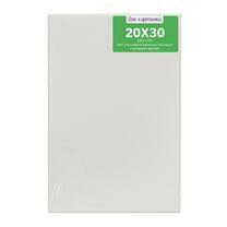 Без бренда «Коробка 80 шт.: Холст Две картинки на подрамнике 20X30» в Красноярске