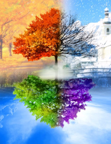 Без бренда «BOX10-2KLB-6100» в Красноярске