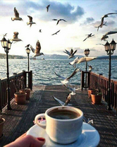 Без бренда «Кофе с видом на чаек (20шт)» в Красноярске