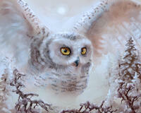 Без бренда «Полярная сова над лесом (20шт)» в Красноярске