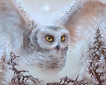 Без бренда «Полярная сова над лесом (20шт)» в Красноярске