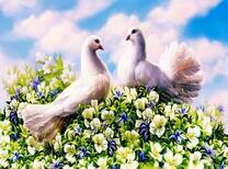 Пара голубей в цветах