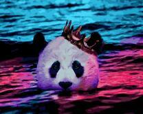 Король панд в воде