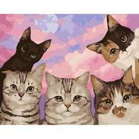 Без бренда «Такие разные котики» в Красноярске