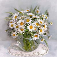 Без бренда «Букет свежих ромашек» в Красноярске