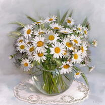 Без бренда «Букет свежих ромашек» в Красноярске