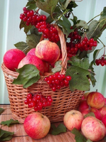 Без бренда «Коробка 25 шт. картин по номерам BOX25-GX5174» в Красноярске