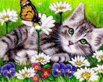 Серый котёнок в ромашках и бабочка