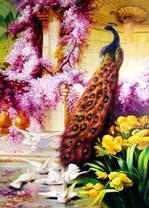 Павлин и белые голуби в цветущем саду