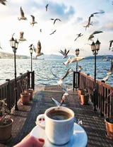 Причал, кофе и чайки