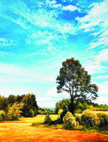 Без бренда «Осенний пейзаж с голубым небом» в Красноярске