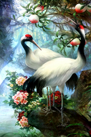 Без бренда «Коробка 25 шт. картин по номерам BOX25-GX29399» в Красноярске в интернет-магазине  Без бренда «Коробка 25 шт. картин по номерам BOX25-GX29399» в Красноярске