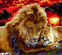 Лев и львица на фоне заходящего солнца