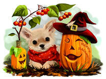 Щенок в свитере рядом с тыквой