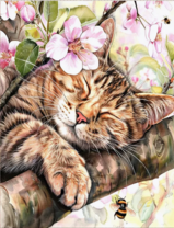 Без бренда «Волосатый котик спит на ветви яблони» в Красноярске в интернет-магазине  Без бренда «Волосатый котик спит на ветви яблони» в Красноярске