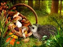 Ежик нашел корзинку грибов